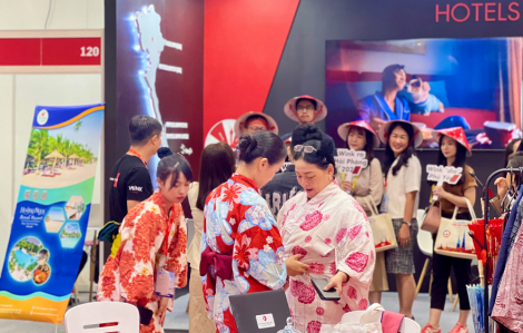 8 tháng, gần nửa triệu khách du lịch Nhật Bản đến Việt Nam