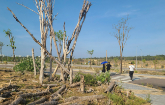 Dự án Nhơn Hội New City bị chính quyền "ngâm" sổ hay Danh Khôi nợ thuế khủng?