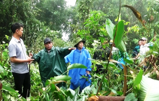 Quảng Nam: Khảo sát địa điểm an toàn lập làng mới “chạy” sạt lở