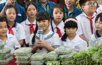 Học sinh tiểu học trồng rau ngay trong trường để gây quỹ thiện nguyện