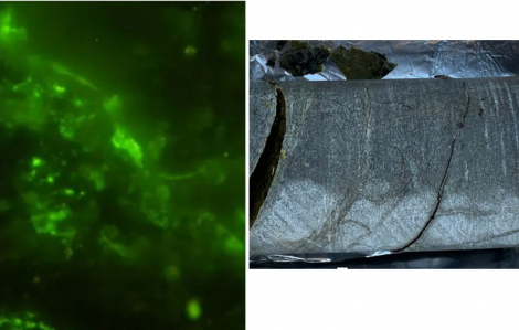 Phát hiện vi sinh vật còn sống trong tảng đá 2 tỉ năm tuổi