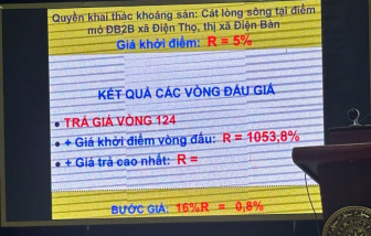 Đề nghị công an vào cuộc vụ đấu giá mỏ cát từ 1 tỉ lên 370 tỉ