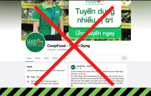 Cảnh báo trang tuyển dụng giả mạo Co.op Food