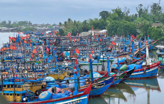 Quảng Nam, Quảng Ngãi yêu cầu tàu thuyền di chuyển tránh bão Trami