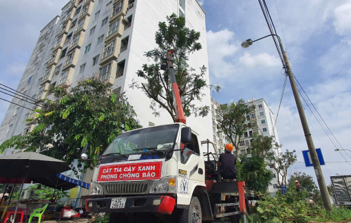 Đà Nẵng, Quảng Nam, Quảng Ngãi tỉa cây, yêu cầu các thủ trưởng không đi khỏi địa phương... để chống bão Trami