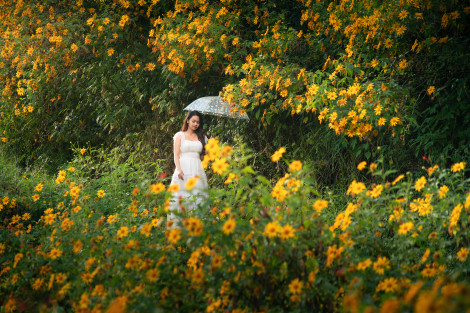 5 cung đường vàng ngắm hoa dã quỳ ở Đà Lạt