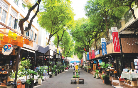 TPHCM sẽ có thêm 3 đường sách mới trong năm 2025