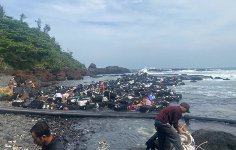 Người dân đổ xô đi nhặt hàng trăm ký hàu dạt bờ biển Quảng Ngãi