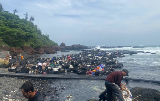 Người dân đổ xô đi nhặt hàng trăm ký hàu dạt bờ biển Quảng Ngãi