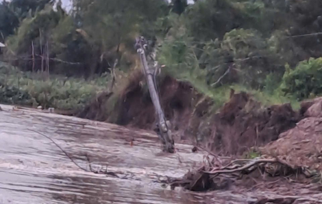 Sạt lở bờ sông Cổ Chiên, 100 hộ dân ở Vĩnh Long bị ảnh hưởng