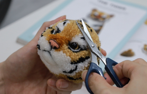 Chàng trai bỏ du học về Việt Nam khởi nghiệp và viết sách về pompom