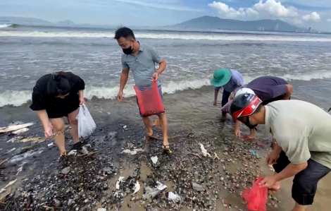 Mang xô, mũ bảo hiểm... ra bờ biển nhặt vẹm xanh sau bão số 6