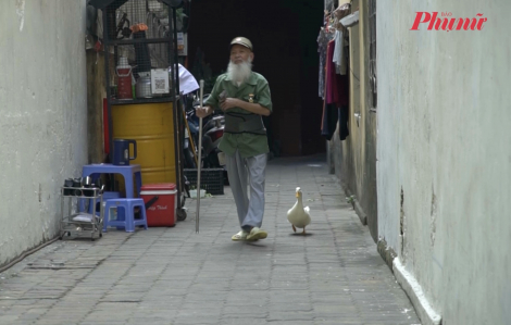 Chú vịt bám chủ như cha con khiến ai cũng ngỡ ngàng