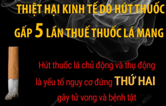 Thiệt hại kinh tế do hút thuốc lá gấp 5 lần thuế thuốc lá mang lại