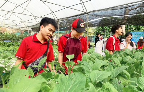 Nông nghiệp TPHCM “nhỏ nhưng có võ”