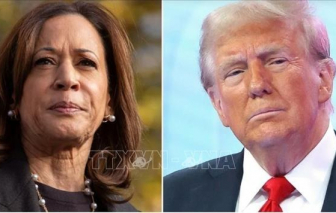 Ông Trump tạm dẫn trước bà Harris hơn 30 phiếu đại cử tri