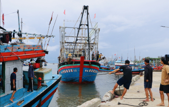 Kêu gọi tàu thuyền tránh trú bão số 7