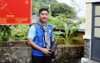 “Mai này, biết đâu đảo Hòn Khoai có thêm cây xoài từ Bến Tre xanh tốt”