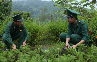 Vườn thuốc nam, ngôi nhà 100 đồng trên đảo Hòn Khoai