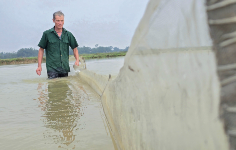 Nông dân rào ruộng, trông trăng chờ “lộc đất”
