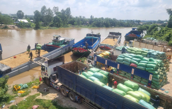 Đình chỉ hoạt động “chợ lúa gạo” tự phát ngay chân cầu ở Giang Thành tiềm ẩn tai nạn giao thông