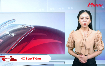 Bản tin cuối ngày 18/11: Gần một nửa người sử dụng ma túy thuộc nhóm tuổi từ 12-30