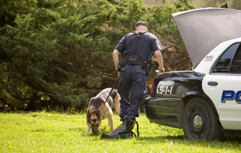 Bồi thường gần 24 tỉ đồng cho người bị chó nghiệp vụ tấn công