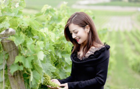 Diễn viên Triệu Vy bị tòa án cưỡng chế nộp phạt