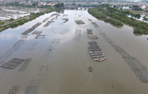 "Bóp nghẹt” lòng sông để nuôi hàu