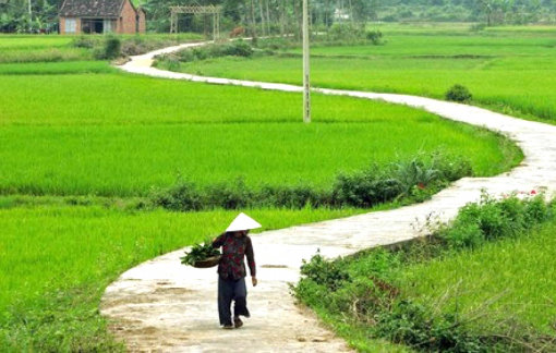 “Sao lâu quá bây chưa về thăm vú?”