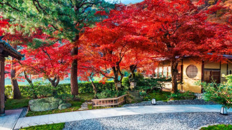 11 điều tuyệt vời nhất ở Kyoto thu hút du khách