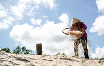 Mùa lộc trời ở biển Tây