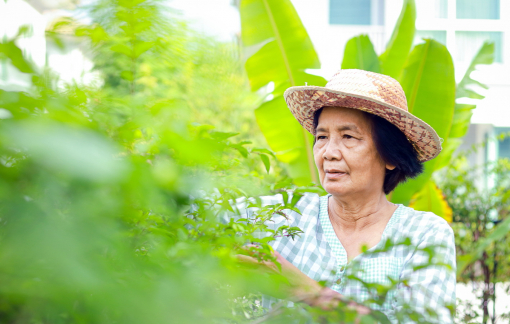 Trả bà cho ông