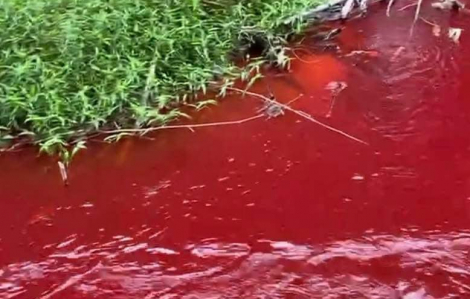 Người dân hoang mang khi con suối ở Bình Phước chuyển màu đỏ như máu