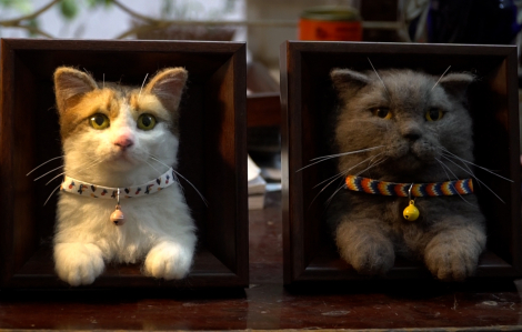 “Hồi sinh” thú cưng từ len: giống thật đến... từng sợi lông