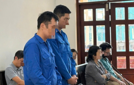 Nguyên Phó giám đốc Công ty Thành Bưởi được giảm 6 tháng tù