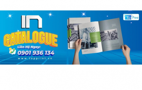 Topprint - Xưởng in catalogue giá rẻ, số lượng ít tại TPHCM và Hà Nội