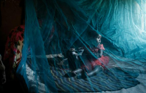 Hơn nửa triệu người tử vong do sốt rét