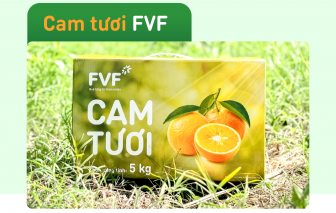 Soi CV ấn tượng của cam tươi FVF: Dòng cam đặc sản ai ai cũng muốn tuyển về