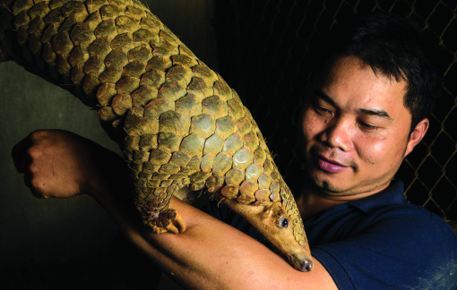 Anh Nguyễn Văn Thái - giám đốc Trung tâm Bảo tồn động vật hoang dã tại Việt Nam: “Nếu chọn lại, tôi vẫn sẽ chọn công việc bảo tồn”-