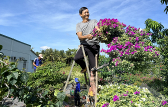 Tăng liên kết để có chuỗi sản phẩm đa dạng