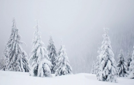 Giấc mơ Giáng sinh trắng tan vỡ khi mùa đông nóng lên