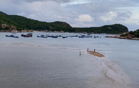 Vĩnh Hy là điểm du lịch trong nước được người Việt tìm kiếm nhiều nhất