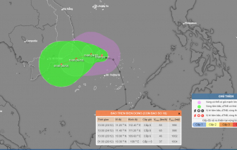 Bão số 10 đã hình thành trên Biển Đông
