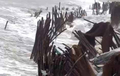 Mưa lớn kèm biển động mạnh, bờ biển Hội An sạt lở gần 500m