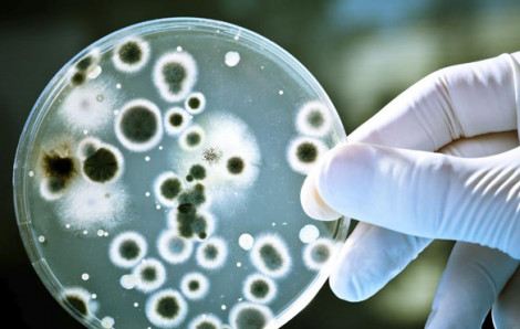 Nhiều thách thức đối với việc kiểm soát nhiễm khuẩn bệnh viện