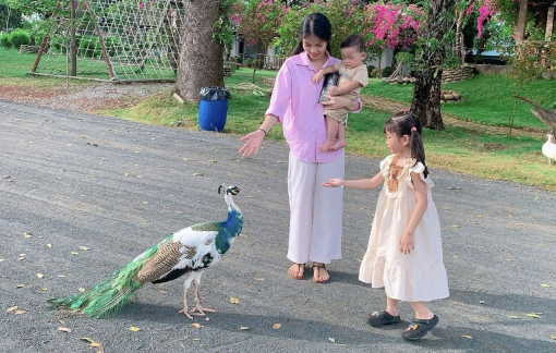 Gia đình lựa chọn “chữa lành” trong ngày dịp cuối tuần