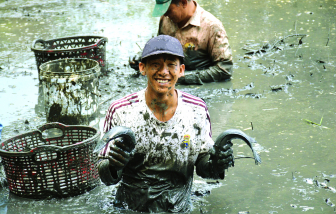 Chia nhau ăn tết