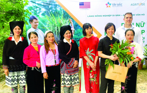 Bên cánh rừng già