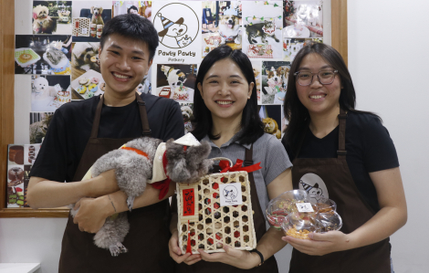 Bánh mứt tết cho... thú cưng